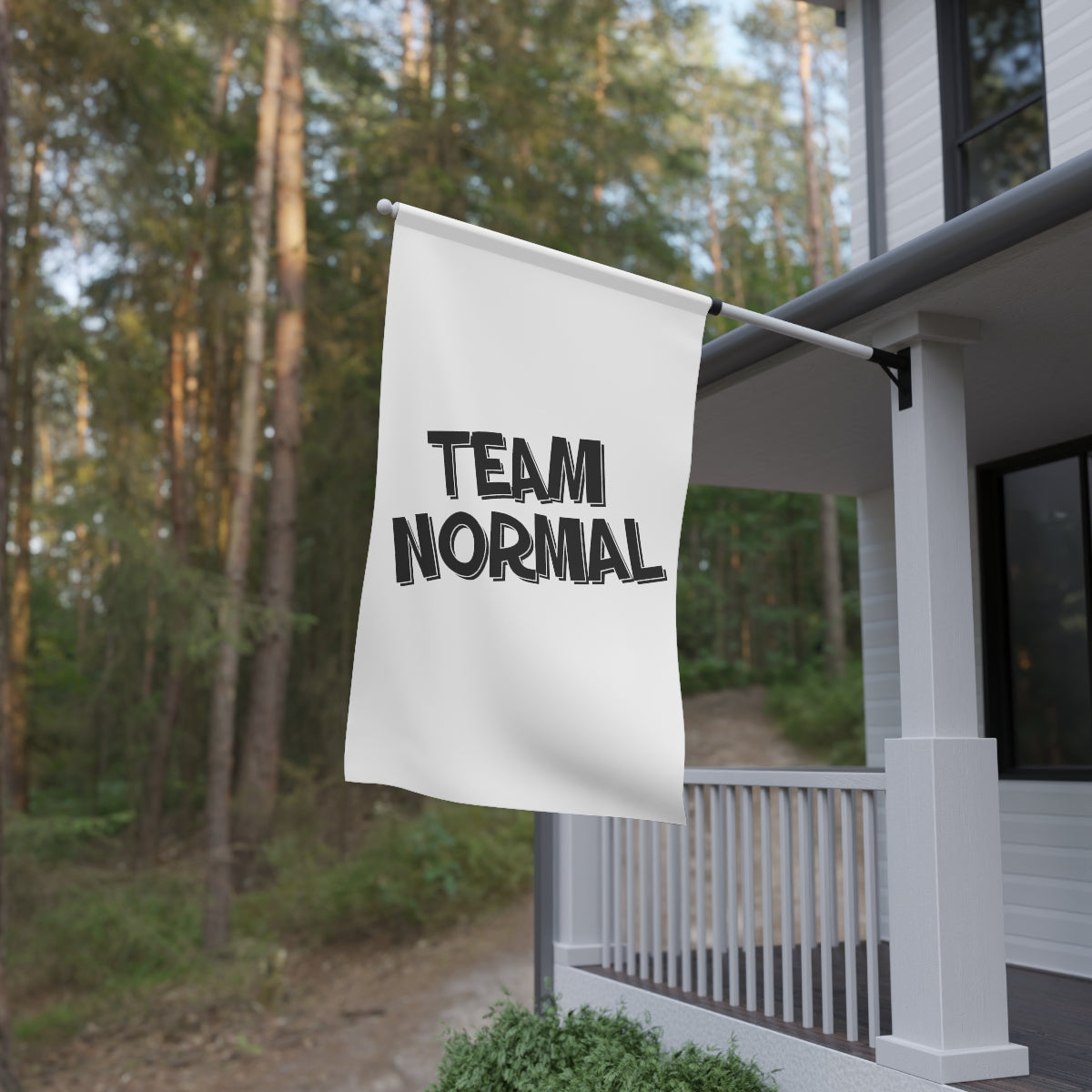 Team Normal Banner